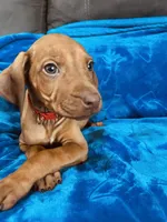 processed/cd2adf8f-8afc-415b-8cb1-44d13fb2a775/listing/d368296e-f47d-4d8b-aa24-a0326d98759a/b781bb3b-68cb-4d37-ad20-0fb849074aac