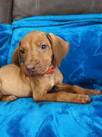 processed/cd2adf8f-8afc-415b-8cb1-44d13fb2a775/listing/d368296e-f47d-4d8b-aa24-a0326d98759a/c3afca84-805d-4f48-b20f-d0c4b2204268