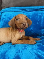 processed/cd2adf8f-8afc-415b-8cb1-44d13fb2a775/listing/d368296e-f47d-4d8b-aa24-a0326d98759a/fc91fe5a-0389-49a2-bf4c-72663c44cbe7