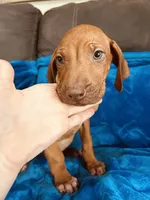 processed/cd2adf8f-8afc-415b-8cb1-44d13fb2a775/listing/ec33d944-ed21-45a6-ba40-6be10589212e/151bc41a-e3d0-4c2c-9e25-635b64a1eb48