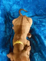 processed/cd2adf8f-8afc-415b-8cb1-44d13fb2a775/listing/ec33d944-ed21-45a6-ba40-6be10589212e/244c1a25-076e-47e9-ab7e-0e510da673e4