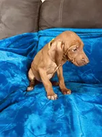 processed/cd2adf8f-8afc-415b-8cb1-44d13fb2a775/listing/ec33d944-ed21-45a6-ba40-6be10589212e/2a107a19-c17a-432f-9ccf-5c49e4cb8b71