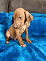 processed/cd2adf8f-8afc-415b-8cb1-44d13fb2a775/listing/ec33d944-ed21-45a6-ba40-6be10589212e/61bdc916-46af-4c90-8e1f-6bb1f2f06f69