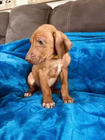 processed/cd2adf8f-8afc-415b-8cb1-44d13fb2a775/listing/ec33d944-ed21-45a6-ba40-6be10589212e/65b336ad-5fcc-42c5-b729-af3898ff5427