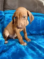 processed/cd2adf8f-8afc-415b-8cb1-44d13fb2a775/listing/ec33d944-ed21-45a6-ba40-6be10589212e/82517aa2-0b6d-434e-a4e6-3ff1e8beb3d8