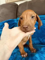 processed/cd2adf8f-8afc-415b-8cb1-44d13fb2a775/listing/ec33d944-ed21-45a6-ba40-6be10589212e/88da72f9-5ecf-4719-b73d-67f6a60ad113