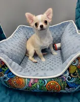 processed/cd2d58c2-4e8c-4662-bda5-4c741cfb6403/listing/11eb9302-265a-4895-a95f-80ae08b786e6/513f3684-02e6-4036-8da4-7d317eb37b18