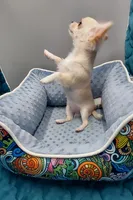 processed/cd2d58c2-4e8c-4662-bda5-4c741cfb6403/listing/11eb9302-265a-4895-a95f-80ae08b786e6/643de6c1-eaf9-4893-972c-891ed92db2cd