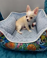 processed/cd2d58c2-4e8c-4662-bda5-4c741cfb6403/listing/11eb9302-265a-4895-a95f-80ae08b786e6/e0129f43-caf6-4b17-939a-712bbf9fe777