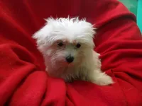 processed/cd30084c-71f9-4c46-9dbf-a091815a9d9b/listing/10b98bf7-3272-4e0f-977d-0e539870c676/dd2ff6b4-48f9-40e9-a1ef-d1ae3f56ba78