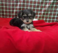 processed/cd30084c-71f9-4c46-9dbf-a091815a9d9b/listing/2e715d5b-5b14-4838-8ecf-d291453801c2/f2a514cf-4069-45e8-924f-241aa1891b8d