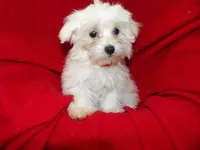 processed/cd30084c-71f9-4c46-9dbf-a091815a9d9b/listing/3f52577d-7693-4d23-b00a-1bb600b53d69/3fc284fa-32a9-46f0-b1f4-a64029964b93