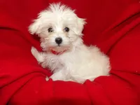 processed/cd30084c-71f9-4c46-9dbf-a091815a9d9b/listing/3f52577d-7693-4d23-b00a-1bb600b53d69/bdbf8954-c33b-49c8-bad9-880532f43eda