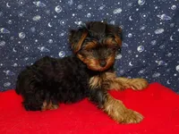 processed/cd30084c-71f9-4c46-9dbf-a091815a9d9b/listing/6c16758f-0c94-4fbe-ba09-4e0013c508ce/24fc3e37-3b85-410b-b6dc-a9a078149eea