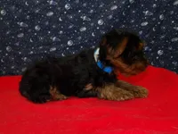 processed/cd30084c-71f9-4c46-9dbf-a091815a9d9b/listing/6c16758f-0c94-4fbe-ba09-4e0013c508ce/5324581e-2632-4dcd-9927-79b7c9bc53a0