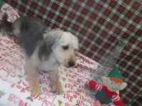 processed/cd30084c-71f9-4c46-9dbf-a091815a9d9b/listing/8a77350c-d587-46cd-8c30-f42557e3e22f/5121c477-34da-429c-9b63-81790e36a39b