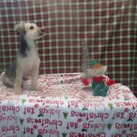 processed/cd30084c-71f9-4c46-9dbf-a091815a9d9b/listing/8a77350c-d587-46cd-8c30-f42557e3e22f/9e96b711-c88d-4204-92a0-70ed51fab719