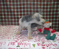 processed/cd30084c-71f9-4c46-9dbf-a091815a9d9b/listing/8a77350c-d587-46cd-8c30-f42557e3e22f/bff376a0-906a-4048-917e-0a34c0bfe2af