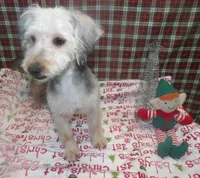 processed/cd30084c-71f9-4c46-9dbf-a091815a9d9b/listing/8a77350c-d587-46cd-8c30-f42557e3e22f/ca2e8a8d-4508-4894-af6d-62d1b8825f2f