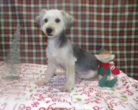 processed/cd30084c-71f9-4c46-9dbf-a091815a9d9b/listing/8a77350c-d587-46cd-8c30-f42557e3e22f/f32912ca-712c-4e33-93cc-2bae9ad15f01