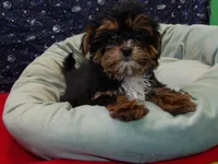 processed/cd30084c-71f9-4c46-9dbf-a091815a9d9b/listing/8d9e2b16-2a5b-4865-ac9c-0bc866293c45/d7150a75-a30b-4342-bb5c-53f1f0bdfc21