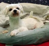 processed/cd30084c-71f9-4c46-9dbf-a091815a9d9b/listing/cde2f7c2-58a3-4025-a2c5-390bd4d4c9c6/2c33e24a-5f4d-4e45-8070-280f97f98f9a