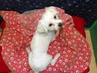 processed/cd30084c-71f9-4c46-9dbf-a091815a9d9b/listing/cde2f7c2-58a3-4025-a2c5-390bd4d4c9c6/350d1490-37b5-42cf-8ec3-76d8067b4b44