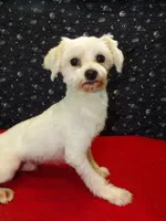 processed/cd30084c-71f9-4c46-9dbf-a091815a9d9b/listing/cde2f7c2-58a3-4025-a2c5-390bd4d4c9c6/5e5f7780-0385-48ab-a3a6-600bf777d64d