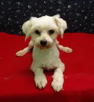 processed/cd30084c-71f9-4c46-9dbf-a091815a9d9b/listing/cde2f7c2-58a3-4025-a2c5-390bd4d4c9c6/75867910-6edf-4d97-86aa-7d2f4492fd74