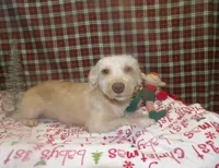 processed/cd30084c-71f9-4c46-9dbf-a091815a9d9b/listing/d0030467-0992-4d4a-858a-6a0db3b65551/1eec446a-8005-4250-a6dd-decc14266383