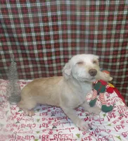 processed/cd30084c-71f9-4c46-9dbf-a091815a9d9b/listing/d0030467-0992-4d4a-858a-6a0db3b65551/783d83a6-e69e-47dd-8b5c-530cbcd1832b