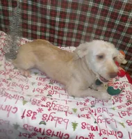 processed/cd30084c-71f9-4c46-9dbf-a091815a9d9b/listing/d0030467-0992-4d4a-858a-6a0db3b65551/85f659c9-4b23-4d95-9011-35792e747d53