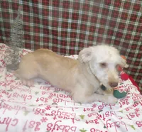 processed/cd30084c-71f9-4c46-9dbf-a091815a9d9b/listing/d0030467-0992-4d4a-858a-6a0db3b65551/a8b5735f-128e-4f88-a3cb-9090a8b836fd