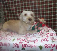 processed/cd30084c-71f9-4c46-9dbf-a091815a9d9b/listing/d0030467-0992-4d4a-858a-6a0db3b65551/bb1392fd-102d-46e7-9d5c-8f97a3baa697