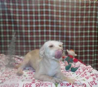 processed/cd30084c-71f9-4c46-9dbf-a091815a9d9b/listing/d0030467-0992-4d4a-858a-6a0db3b65551/df15f3f3-a868-4da9-a388-999cc8d2980a