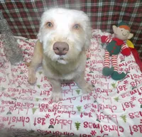 processed/cd30084c-71f9-4c46-9dbf-a091815a9d9b/listing/d0030467-0992-4d4a-858a-6a0db3b65551/f9d6e956-e1b5-4b4b-af10-0a6f9a968afc