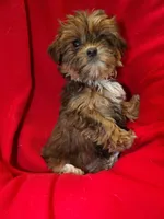 processed/cd30084c-71f9-4c46-9dbf-a091815a9d9b/listing/d41495e5-65d9-4175-8fff-e57dae161831/45209d55-32df-46fb-9f17-950a2a507125