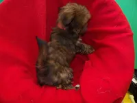 processed/cd30084c-71f9-4c46-9dbf-a091815a9d9b/listing/d41495e5-65d9-4175-8fff-e57dae161831/87d7bc57-b3e5-4b18-b756-5008baf12201