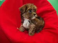 processed/cd30084c-71f9-4c46-9dbf-a091815a9d9b/listing/d41495e5-65d9-4175-8fff-e57dae161831/e821fd8c-e0ed-49dd-9dfa-6c66d44334f2