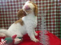 processed/cd30084c-71f9-4c46-9dbf-a091815a9d9b/listing/d62f0535-6e96-470a-a340-cc68763a2564/12a61c46-e84d-4f45-9be8-b7e3ec6a97d0