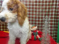 processed/cd30084c-71f9-4c46-9dbf-a091815a9d9b/listing/d62f0535-6e96-470a-a340-cc68763a2564/4f1a0725-da5c-457a-af62-15a958e24a29