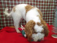 processed/cd30084c-71f9-4c46-9dbf-a091815a9d9b/listing/d62f0535-6e96-470a-a340-cc68763a2564/ffd4c677-1f00-4059-8f7b-91b5563fd74c