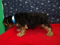 processed/cd30084c-71f9-4c46-9dbf-a091815a9d9b/listing/db57ecff-8d26-4bb5-8c68-1a03b2179daf/8684bd1f-c214-4749-8dda-b05c47545d52