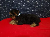 processed/cd30084c-71f9-4c46-9dbf-a091815a9d9b/listing/db57ecff-8d26-4bb5-8c68-1a03b2179daf/b312d1b9-ce8f-44b4-869b-085072e85363