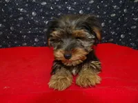 processed/cd30084c-71f9-4c46-9dbf-a091815a9d9b/listing/db57ecff-8d26-4bb5-8c68-1a03b2179daf/c5a8f984-179f-4912-b66d-8e9dbbfeb302