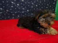 processed/cd30084c-71f9-4c46-9dbf-a091815a9d9b/listing/db57ecff-8d26-4bb5-8c68-1a03b2179daf/f89737c1-3630-42de-9347-c31fc0097d55