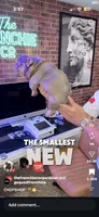 Boba- MICRO Lilac Tan Merle , a female French Bulldog for sale in Leominster, MA – 4 of 5