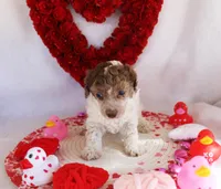 processed/cd348d23-33e1-4730-9965-cec69f7e218d/listing/1ae914c3-83e0-42dc-a764-b274d158a45e/ede662a4-5da1-4c41-80c5-9ded1ba91610