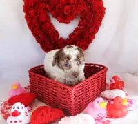 processed/cd348d23-33e1-4730-9965-cec69f7e218d/listing/1ae914c3-83e0-42dc-a764-b274d158a45e/f2ddc369-88ca-4d23-b3d7-5fb706c75df1