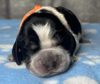 processed/cd3d6b5b-4cc9-433f-be4f-dbf022ee87f0/listing/0bd7674e-85fa-46fe-84d1-8d16dbfc29c0/36474971-b8d1-414a-9452-e9882283772a